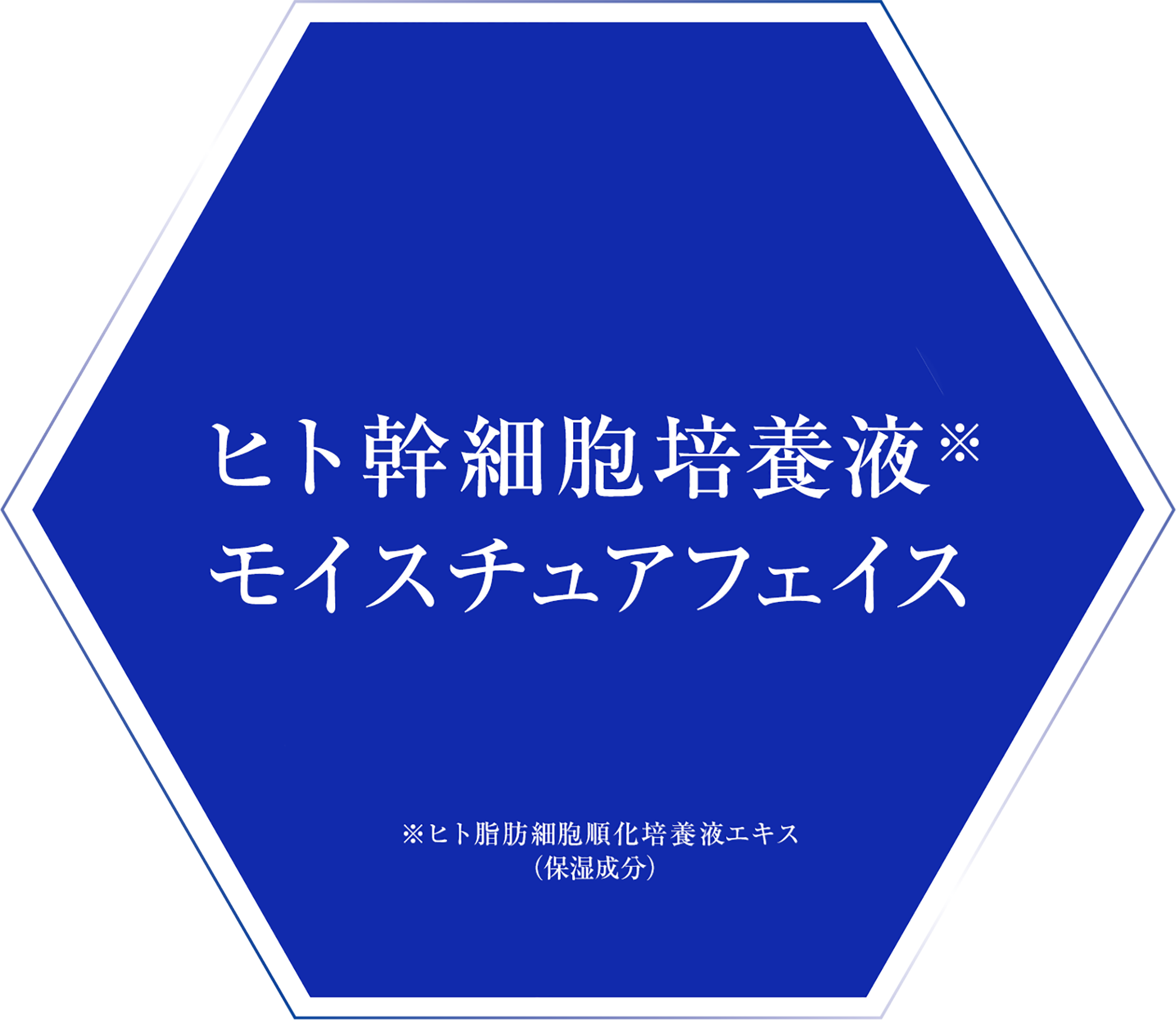 エステ01
